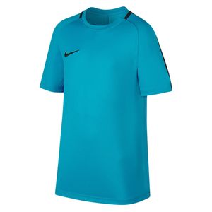 تی شرت ورزشی یقه گرد پسرانه dri fit academy   نایکی