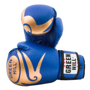 دستکش بوکس مدل garcia azul