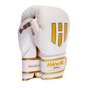 دستکش بوکس مدل hawk lion