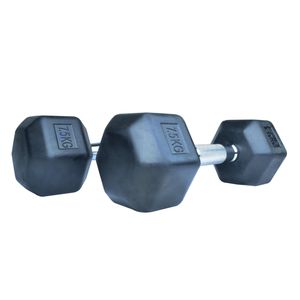 دمبل اس اچ ار مدل b2 وزن 7.5 کیلوگرم بسته 2 عددی