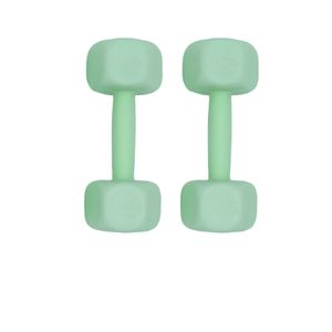 دمبل ایروبیک وزن 2.5 کیلوگرم رادیس فیت مدل rphf fit 2500 بسته دو عددی