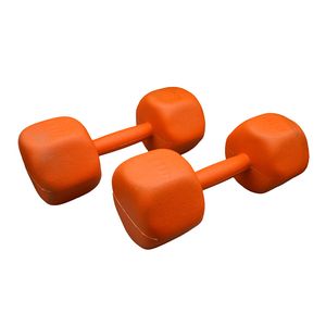 دمبل بدنسازی مدل gs m 197504 وزن ۵ کیلو گرم بسته دو عددی
