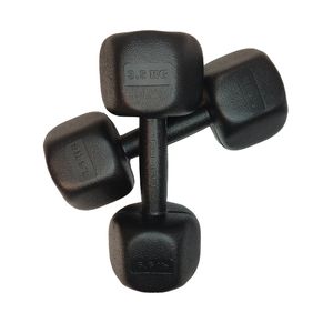 دمبل رادیس فیت مدل rphf 3500 وزن 3.5 کیلوگرم بسته دو عددی