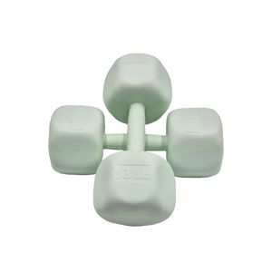 دمبل رادیس فیت مدل rphf 6000 وزن 6 کیلوگرم بسته دو عددی
