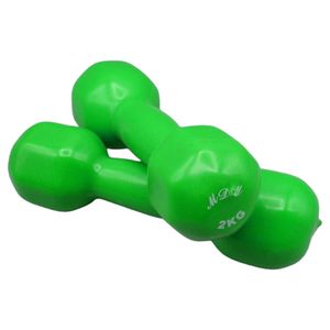 دمبل مدل gs m 132411 وزن 2 کیلوگرم بسته دو عددی