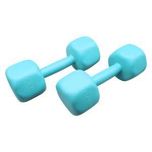 دمبل مدل gs m 143032 وزن 3 کیلوگرم بسته دو عددی