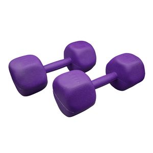 دمبل مدل gs m 197504 وزن 5 کیلوگرم بسته دو عددی