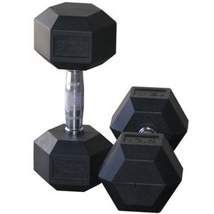 دمبل مدل hexagonal وزن 12.5 کیلوگرم بسته 2 عددی
