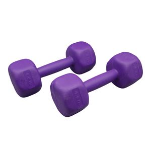 دمبل چند ضلعی وزن 2.5 کیلوگرم مدل gs m 197496 بسته دو عددی