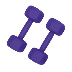 دمبل چندضلعی وزن 2.5 کیلوگرم رادیس فیت مدل dum fit 2.5 بسته دو عددی