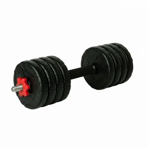 دمبل گرد قابل تنظیم 8 کیلوگرم رادیس فیت مدل dvp8 1000 one handle