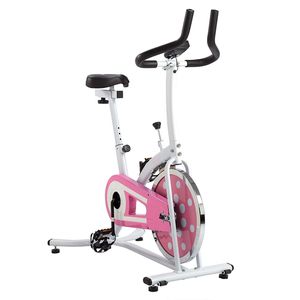 دوچرخه اسپینینگ سانی مدل p8100indoor
