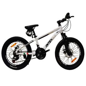 دوچرخه کوهستان اینتنز مدل cd200 کد 111 سایز طوقه 20 اینچ