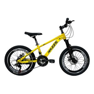 دوچرخه کوهستان مدل a120 سایز طوقه 20