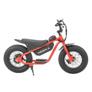 دوچرخه کوهستان نگین مدل nf350i سایز طوقه 16 اینچ