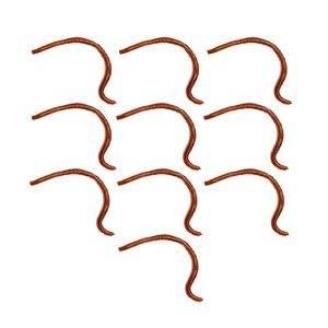 طعمه ماهیگیری مدل کرم خاکی ژله ای بسته 10 عددی