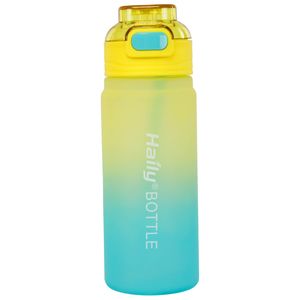 قمقمه ورزشی مدل haily bottle گنجایش 900 لیتر