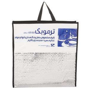 کیف عایق دار سرماگرم مدل termobag سایز کوچک