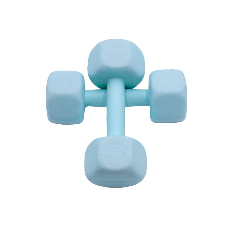 دمبل رادیس فیت مدل rphf 2000p وزن 2 کیلوگرم بسته بندی دو عددی