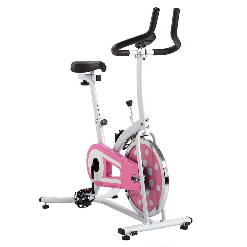 دوچرخه اسپینینگ سانی مدل p8100indoor