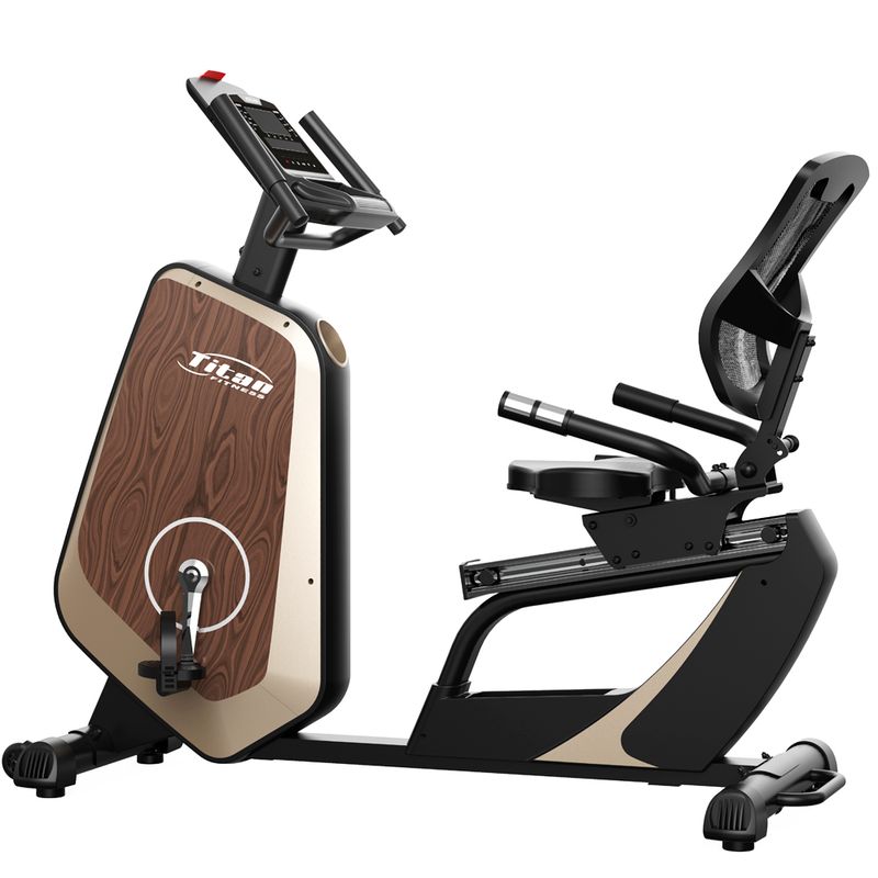دوچرخه ثابت تایتان فیتنس مدل 96613 woodblend