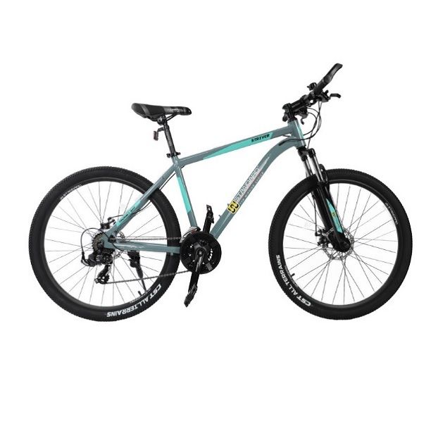 دوچرخه کوهستان دبلیو استاندارد مدل ty500 سایز 29