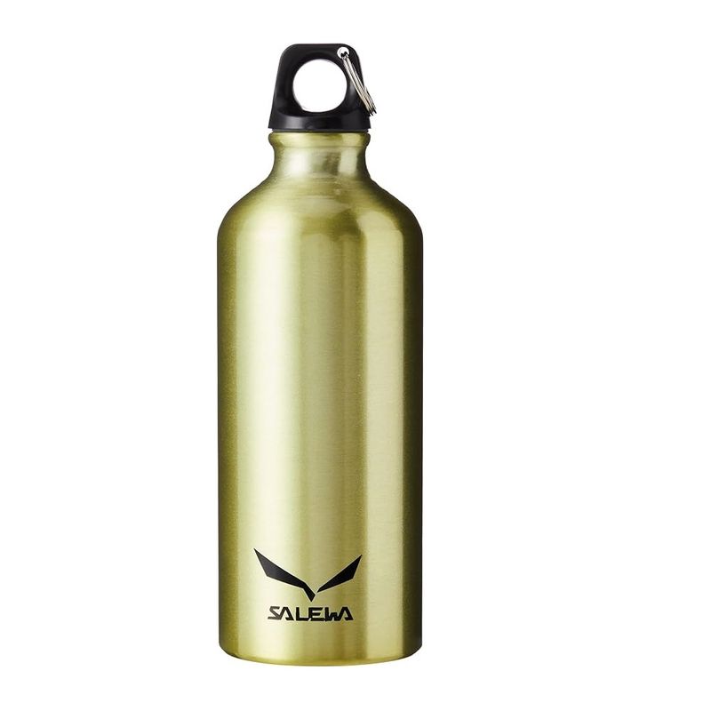 قمقمه سالیوا مدل traveller 0.6l گنجایش 0.6 لیتر